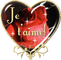 ~~***Je t'aime ***~~
